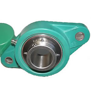 Thermoplastic Bearing Housing: 2 Bolt Flange   
